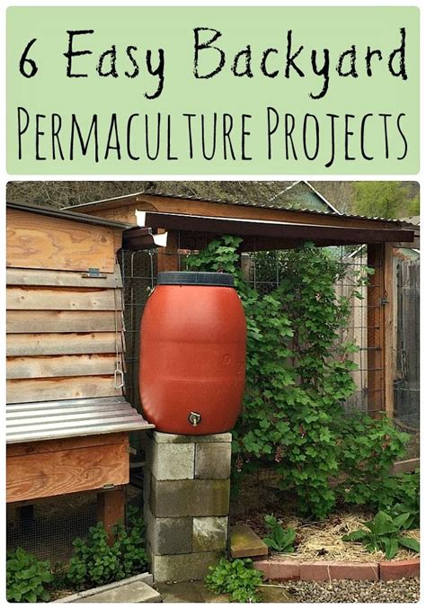6 Easy Backyard Permaculture Projects For Beginners Permaculture