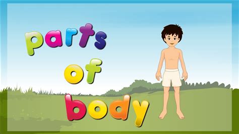 Parts Of Body With Pictures And Names In Animation Youtube