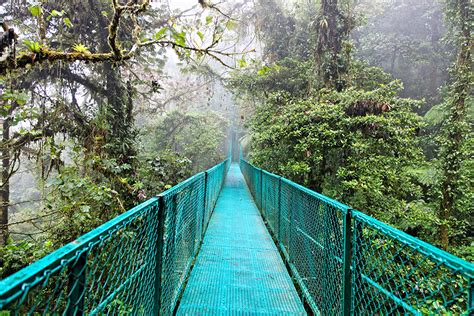 Where Can You Find A Cloud Forest Quiz Wonderopolis