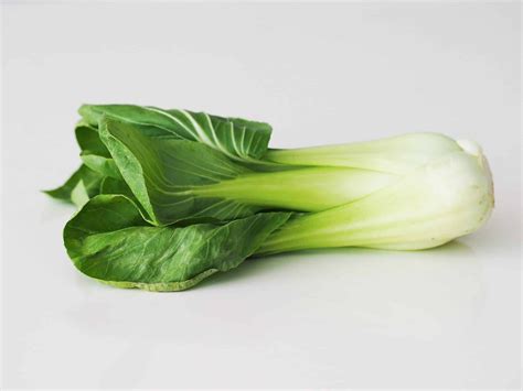 Bok Choy Seeds Pak Choi Seeds Hạt Cải Thìa Etsy