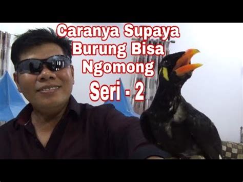 Namun biasanya, bayi mulai bisa duduk di usia 4 bulan. Umur berapa beo bisa ngomong, di usia berapa bayi bisa ...