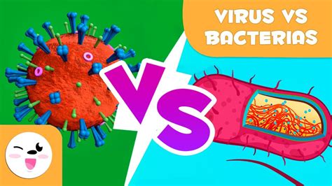 Bactérias E Vírus São Microorganismos Como é Possível Diferenciá Los