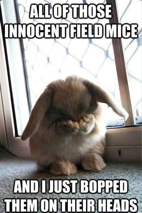 Aww Poor Bunny Fru Fru My Kids Sing This Song All The Time Cute