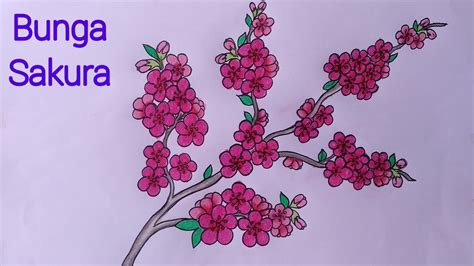 Menggambar Bunga Sakura Yang Bagus Cara Menggambar Bunga Sakura