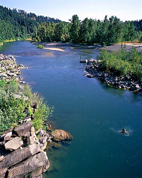 Sandy River Swimmers Pictureoregon River Photo For Sale