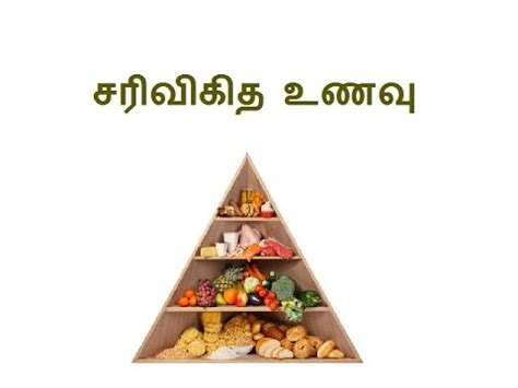 The food pyramid depicts the different food groups that are essential for the human body. சரிவிகித உணவு balanced diet in tamil - YouTube