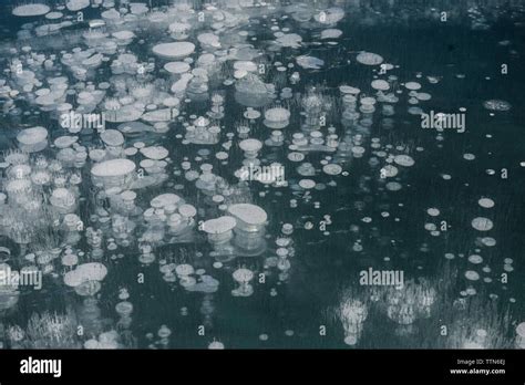 Methane Gas Bubbles Canada Hi Res Stock Photography And Images Alamy