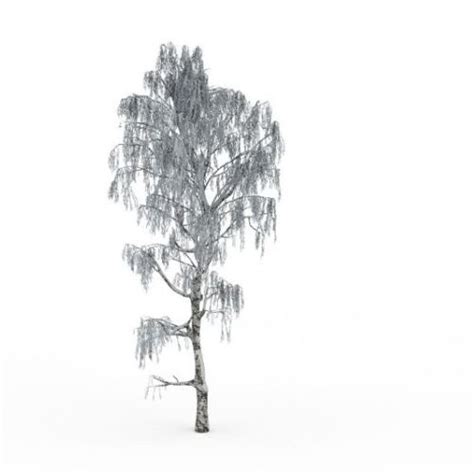 American Snow Covered Tree 3d Model Max 123free3dmodels