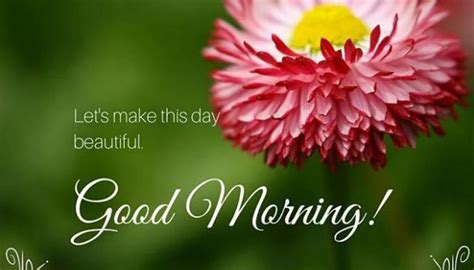 We have brought beautiful morning images with poetry for you, more than 100 photos quotes shayari just for you, the show has worked very hard to make them, so you can share these beautiful good morning images and shayari on your family friends facebook whatsapp can. WhatsApp flooded with 'Good Morning' greetings in India ...