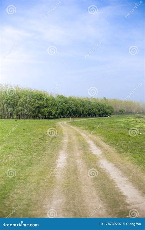 Road On Green Grassland Stock Image Image Of Excursion 178739207