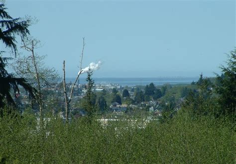 Aberdeen Wa Grays Harbor From Think Of Me Hill Photo Picture Image