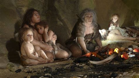 Early Humans Neanderthals Nude Pics Telegraph Hot Sex Picture