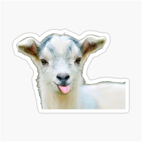 Cute Goat Stickers Ubicaciondepersonascdmxgobmx
