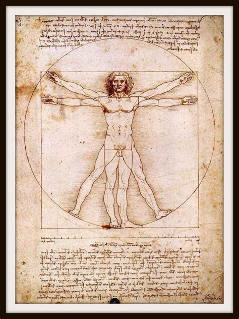 Leonardo Da Vinci Anatomy Abacus Chinese Medicine