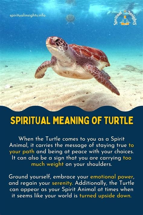 Spiritual Meaning Of The Turtle Turtle Spirit Animal Spiritual