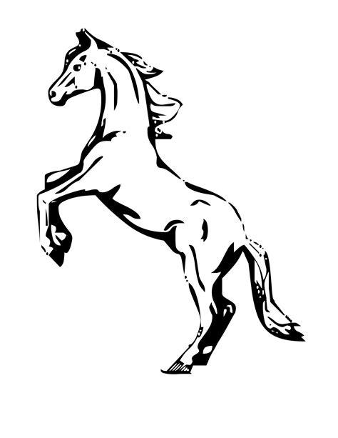 Horse Head Drawing Outline At Getdrawings Free Download