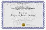 Photos of Veterinary Bachelor''s Degree
