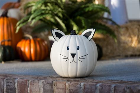 Pumpkin itself is fairly bland so you have. No Carve Pumpkin Idea: Cat Pumpkin - Cricut