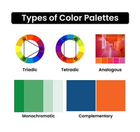 Color Palettes And Gradients In Vector Images