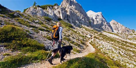 Wandern Mit Hund Tipps Für Das Outdoor Abenteuer Beatyesterday