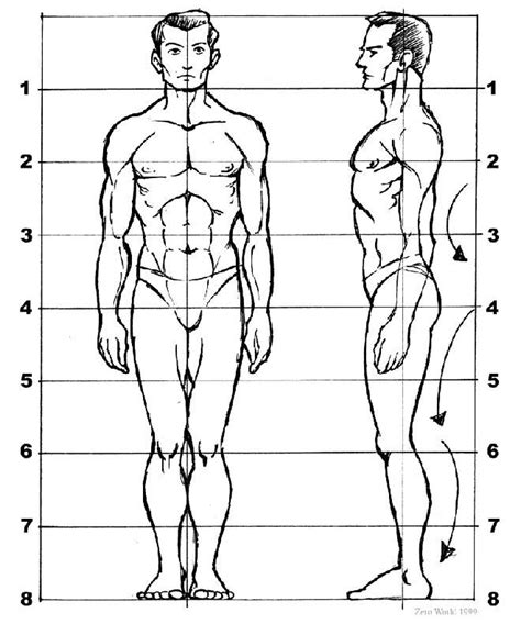 Body Proportions Sculpting And Drawing Reference Idee Per Disegnare