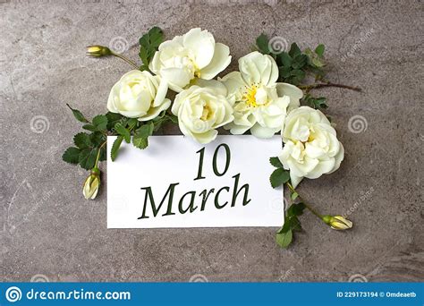 March 10th Day 10 Of Month Calendar Date White Roses Border On