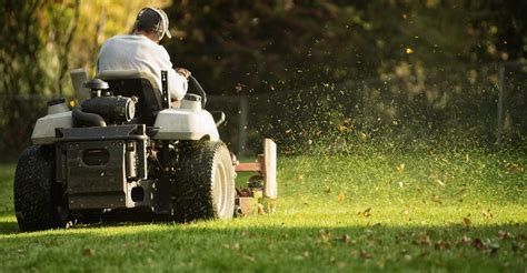 The 10 Best Affordable Lawn Care Services Near Me