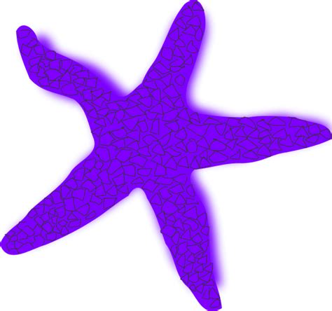 Free Starfish Cliparts Download Free Clip Art Free Clip