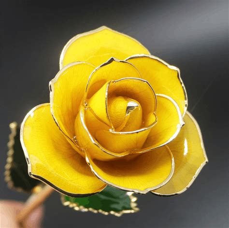 Check spelling or type a new query. 24K Gold Plated Yellow Rose • My Teddy Roses
