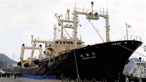 Japans Research Whaling Draws To A Close After 30 Year Struggle Eye