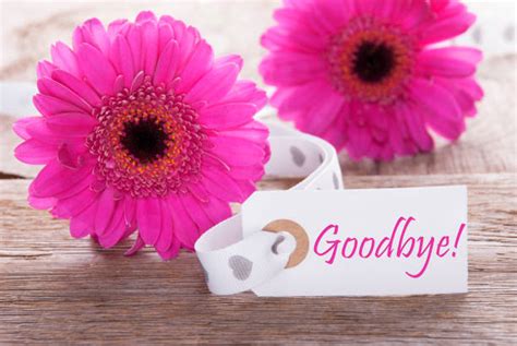 Farewell Card Stock Photos Pictures And Royalty Free Images Istock