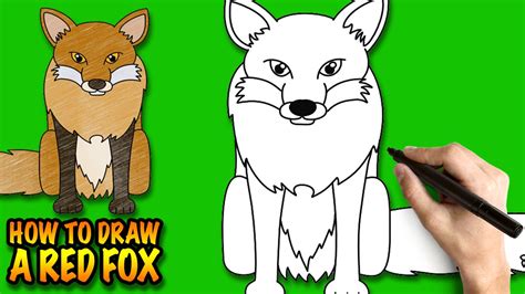 How To Draw A Fox Cute Animals Easy Step By Step