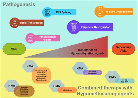 Ijms Free Full Text Molecular Targeted Therapy And Immunotherapy