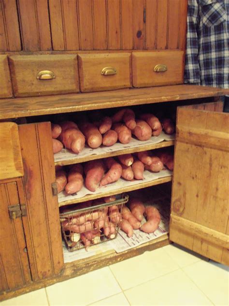 Colder temperatures lower than 50 degrees, such as in the refrigerator, cause a potato's starch to convert to sugar, resulting in a sweet taste and. The Deliberate Agrarian: October 2011