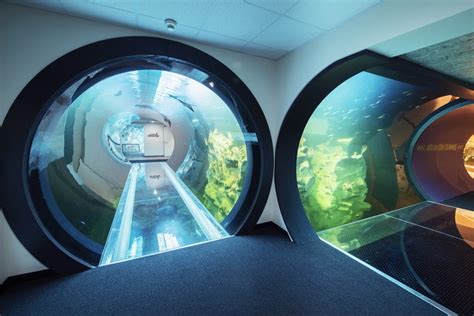 Atlantik Tunnel Neue Attraktion Im Haus Des Meeres Mariahilf