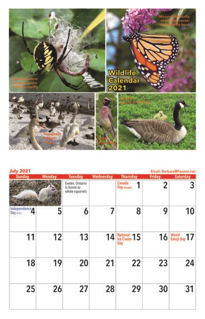 Wildlife Calendar 2021 Barbara Fanson Author And Illustrator