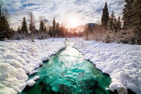 Canada Snow Nature Landscape River Winter Pine Trees