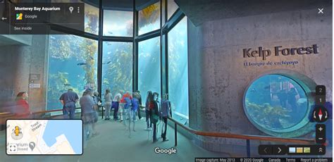 Monterey Bay Aquarium Virtual Tour A Complete Guide