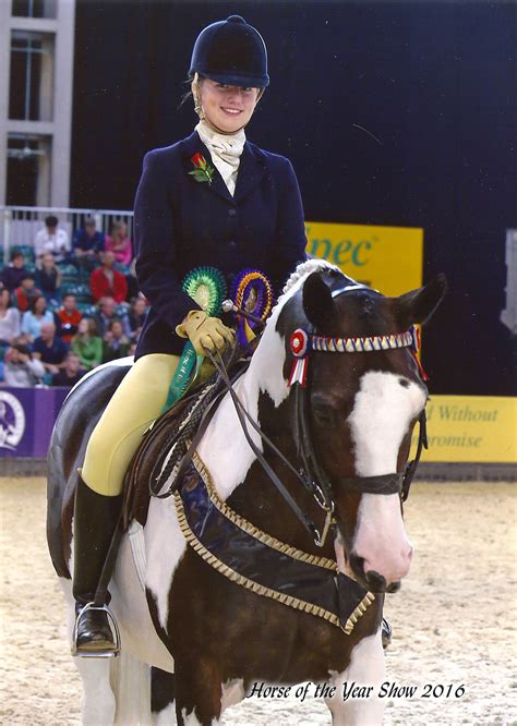 Teesdale Mercury Staintons Charlotte Impresses At Horse Of The Year Show