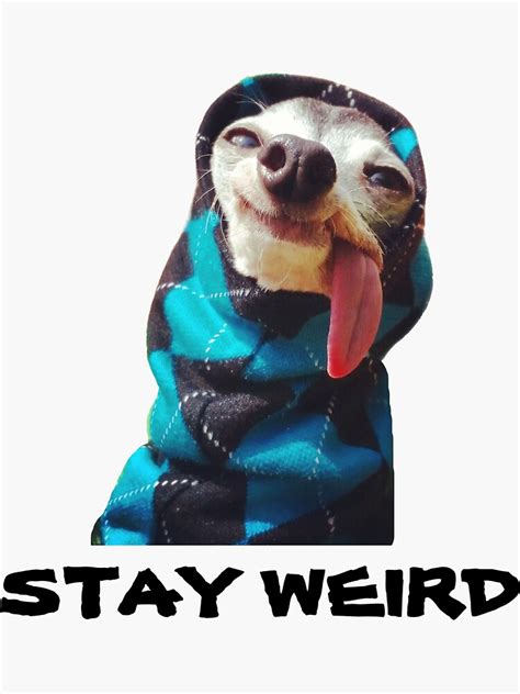 Stay Weird Zappa The Italian Greyhound Tongue Out Sticker For Sale By