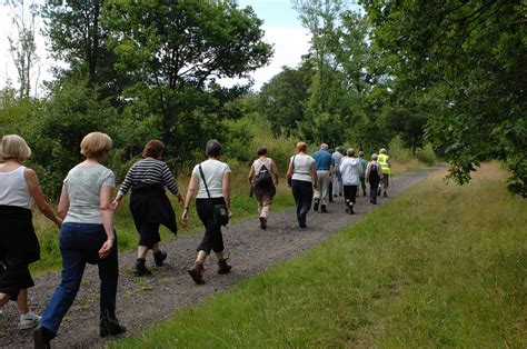 Participants Wanted Knee Osteoarthritis Walking Program Motion