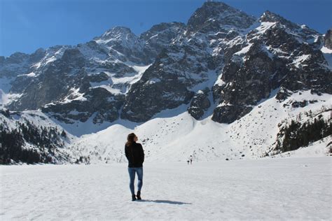 Polen doğal bir üründür ve arılar dışında başka üretim şekli olmadığı için daha güvenilir bir besin sayılabilir. Hiken naar Morskie Oko in het Tatrageberte, Polen - Fit ...