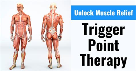 Trigger Point Therapy The Key To Unlocking Muscle Relief Got Knots