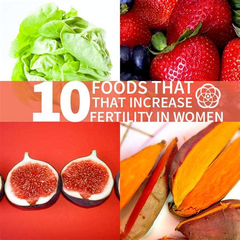 10 foods that increase fertility and libido in women kaldas center fertility foods