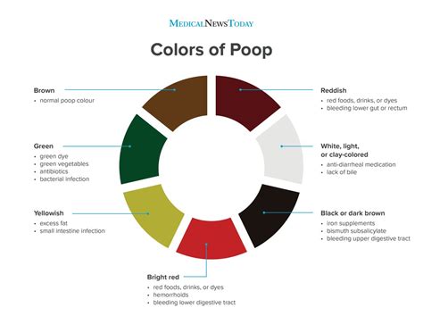 What Does The Color Of Poop Mean The Meaning Of Color