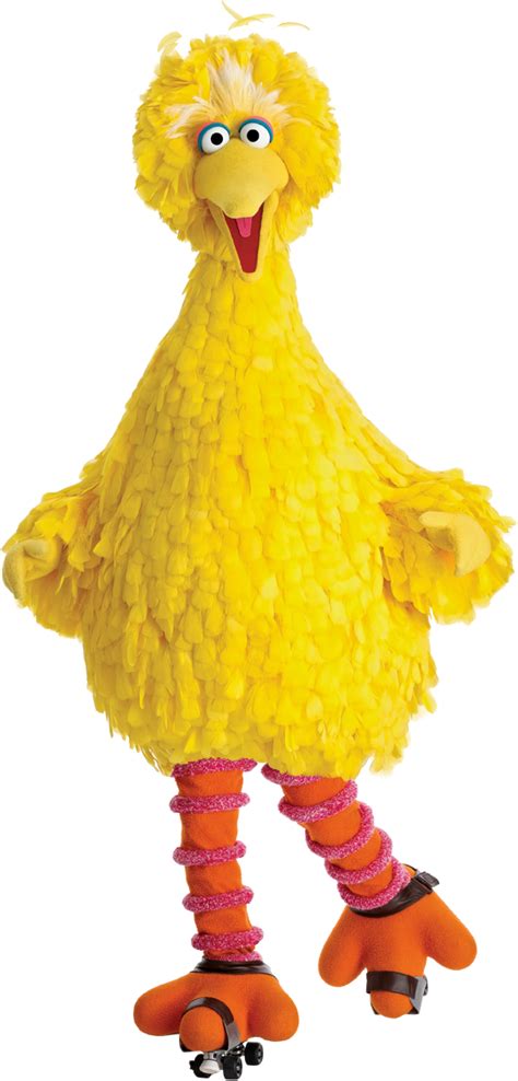 Big Bird Face Png Png Image Collection