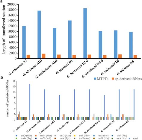 Distribution Of Transferred Dna Segments In Mitochondrial Genomes A