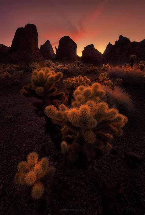 Kofa Mountains And The Jumping Chollas Sunset Landscape Amazing Nature