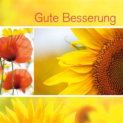 Wir helfen dir mit tipps und beispielen. Glückwunsch-Karten (inkl. weiße Umschläge) | SIGEL