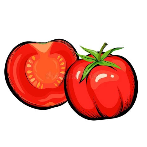 Tomate Rojo Entero Y Mitad De La Ilustración Vectorial De La Fruta